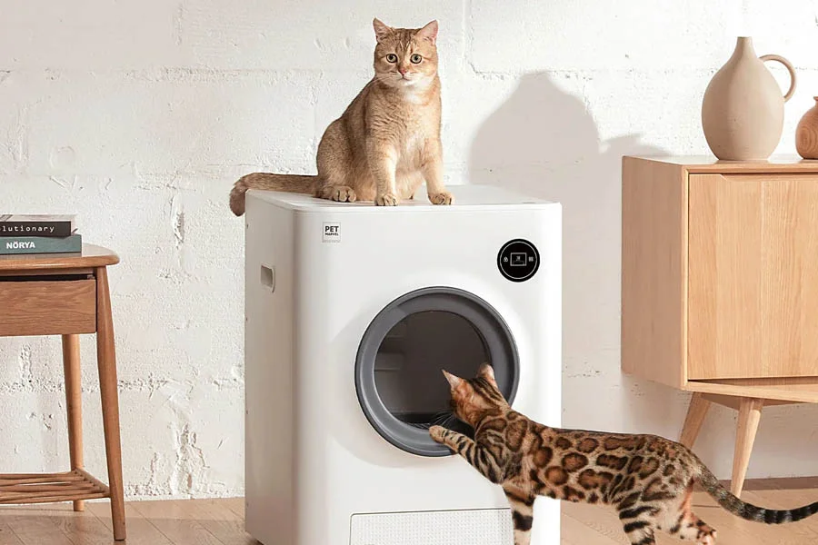 best litter box for kittens