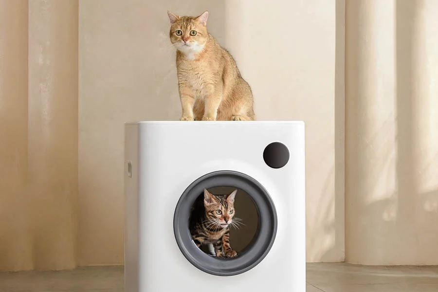 best litter box for kittens