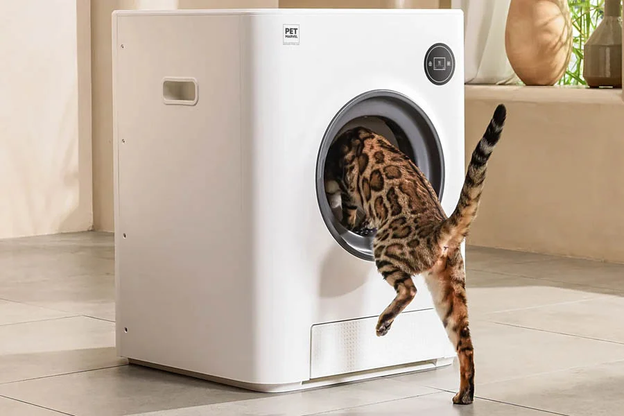 best litter box for kittens